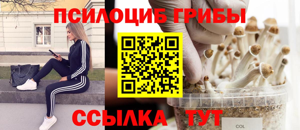 Армавир  Галлюциногенные грибы прущие грибы  Вход с VPN  Псилоцибиновые грибы прущие грибы 